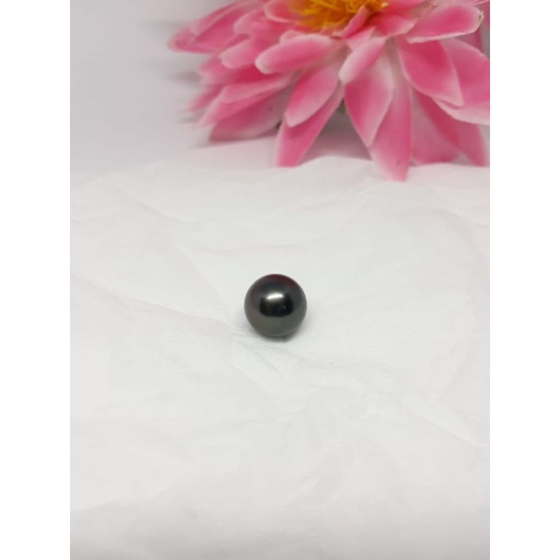 MUTIARA LAUT HITAM GRADE A TERRRMURAH