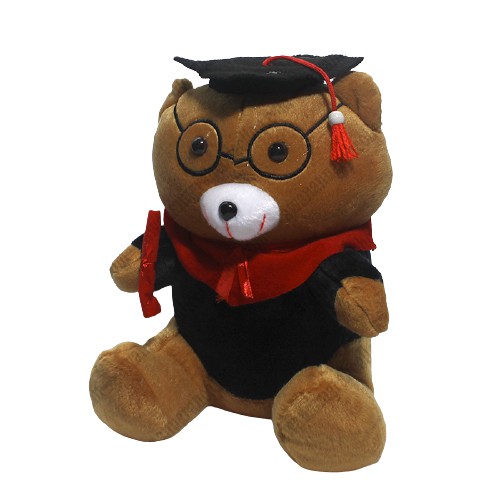 Boneka Maskot Wisuda