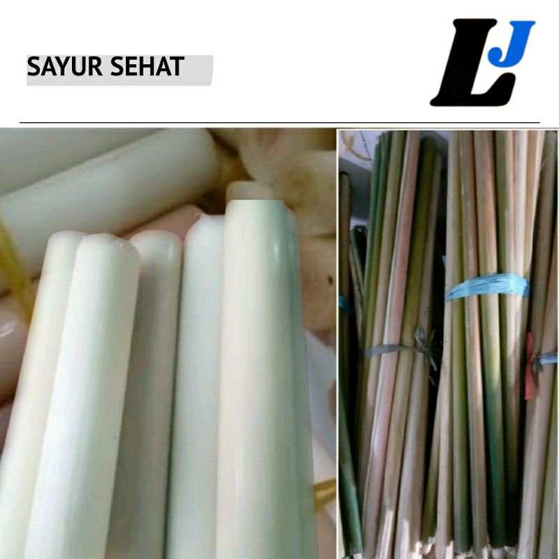 

COD Batang Kecombrang Kincung Muda Fresh 500gr-1000gr