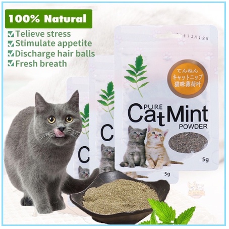 Catnip catmint cat mint - PURE CATMINT POWDER - BIKIN FLY KUCING