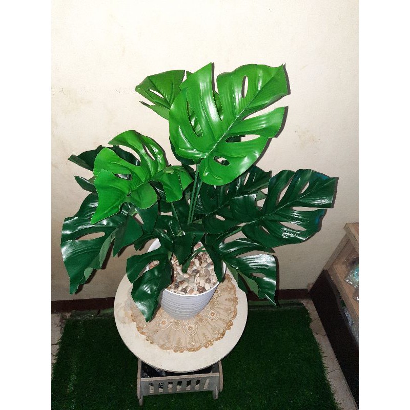 tanaman janda bolong palsu/artificial/hiasan/pajangan