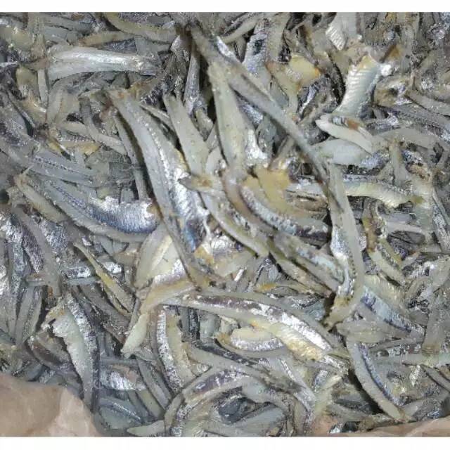 

Ikan teri belah medan