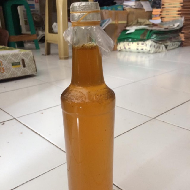 

Madu Odeng asli murah langsung dari hutan