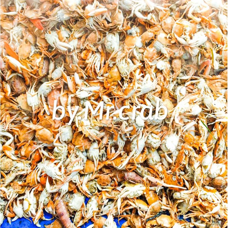 

BABY CRAB MENTAH 1KG / BABY CRAB KRISPY / RAJUNGAN /KEPITING / KEPITING KRISPY