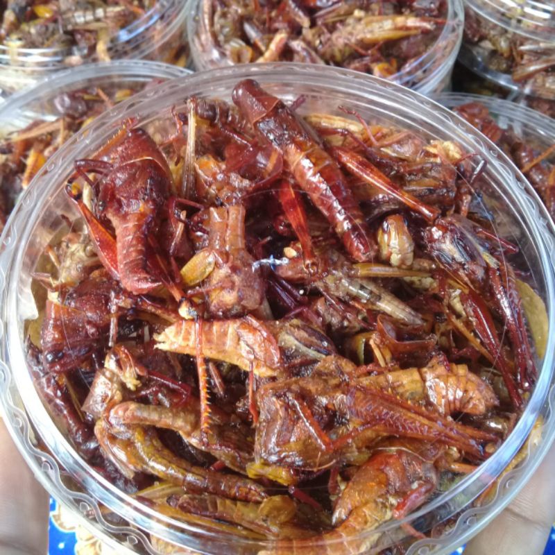 

belalang goreng kayu krispy 100 gram