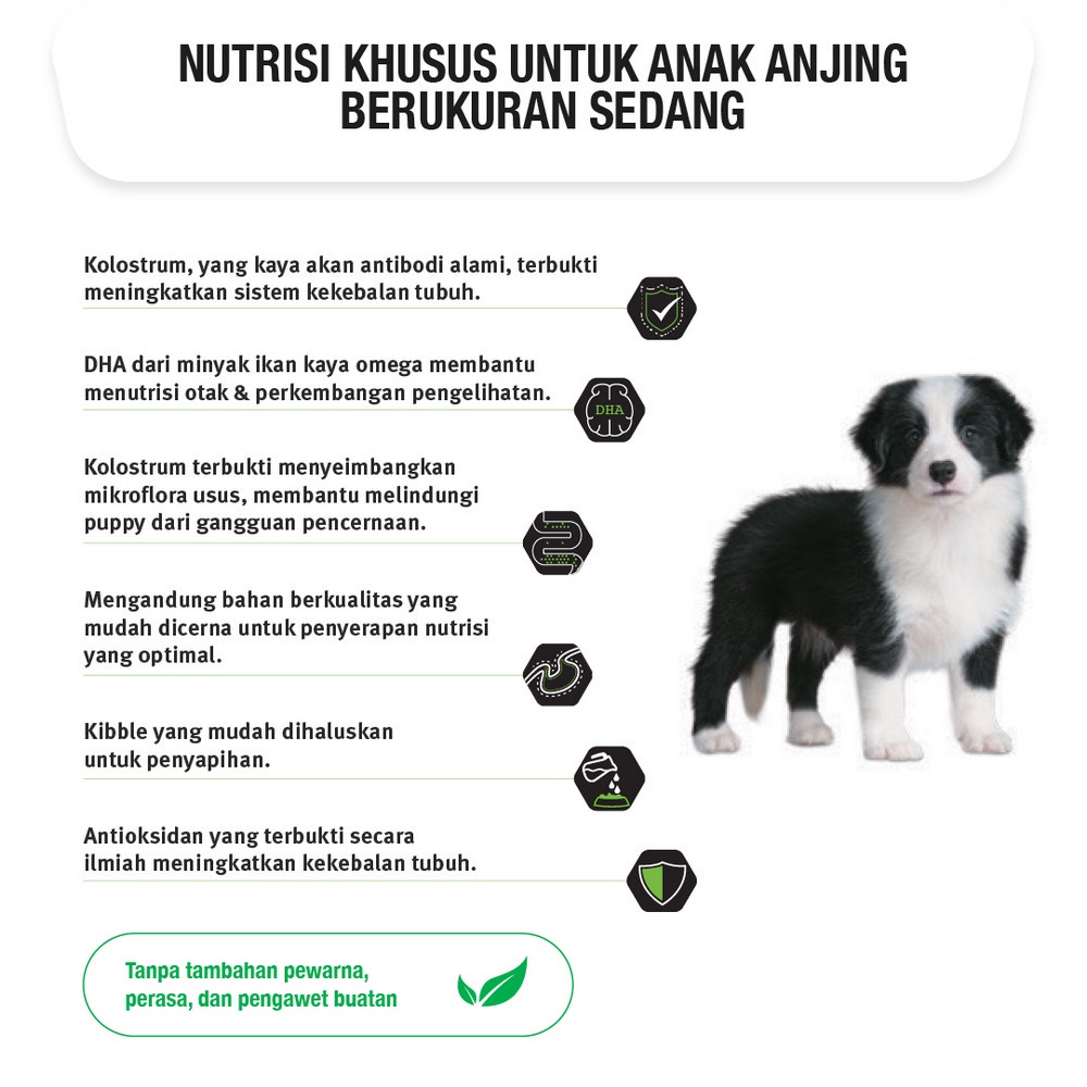 PRO PLAN Dog Puppy Healthy Growth &amp; Development Medium Chicken Makanan Kering Anak Anjing 2.5kg