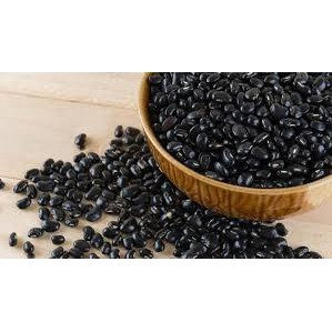 BENIH KEDELAI HITAM BIBIT SAYURAN UNGGUL