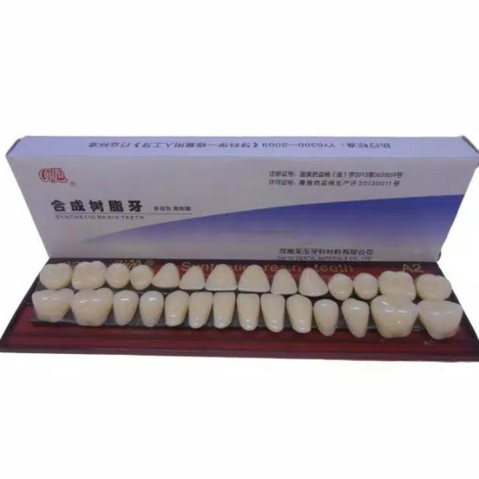 (BISA COD) Synthetic Resin Teeth Gigi Palsu Tiruan Sintetis Caiyu Dental Material TERBARU Kode 1115