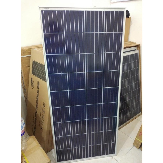 solar panel surya cell module st solar stc stec 300wp 300 wp poly 24v