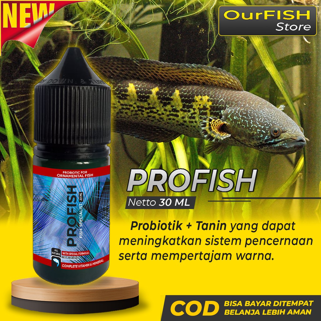 OURFISH - Vitamin Ikan Channa Profish untuk Predator Chana Oscar Peacock Bass Arwana Palmas Maru