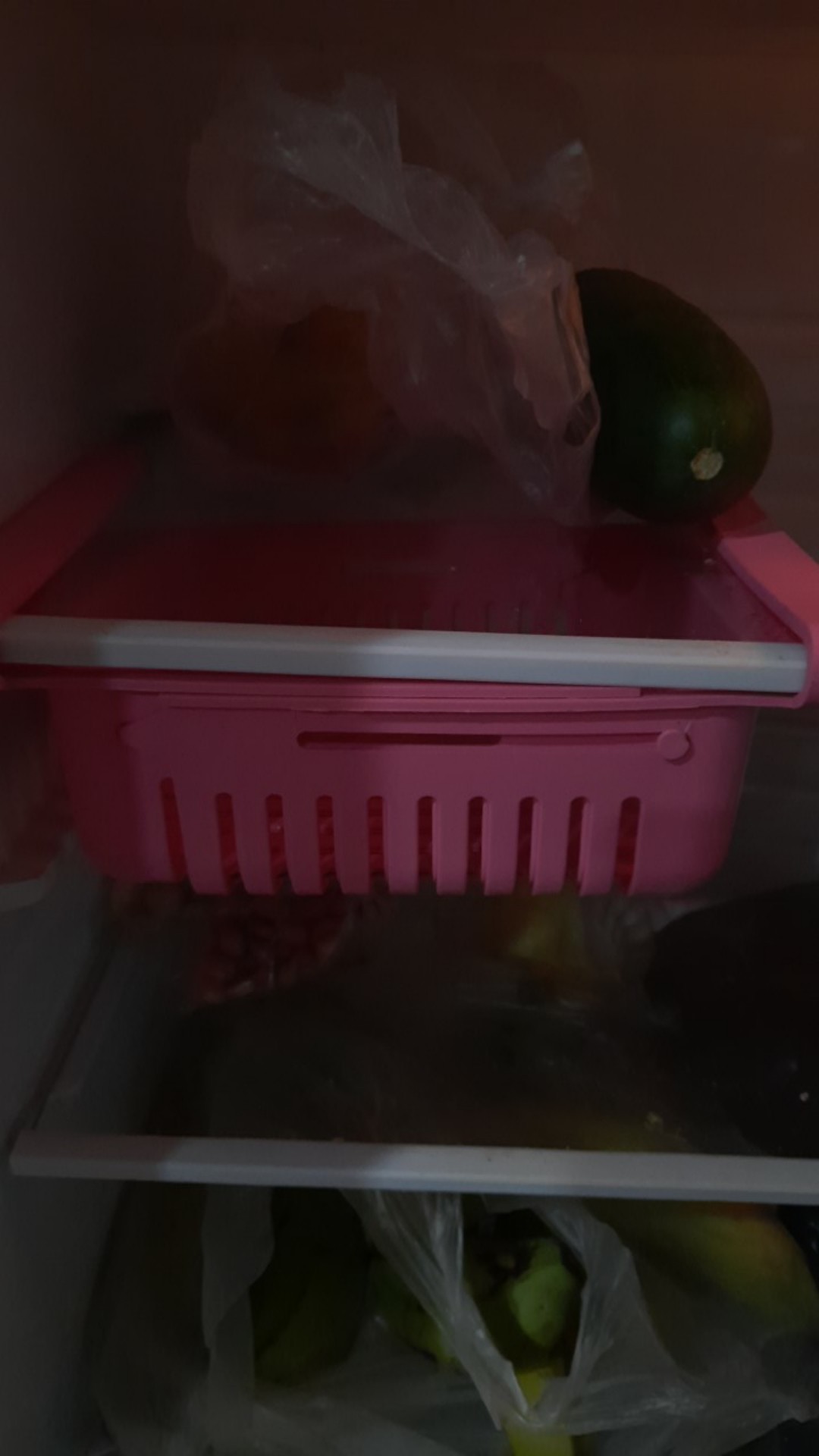 Rak Kulkas Tempat Penyimpanan Makanan