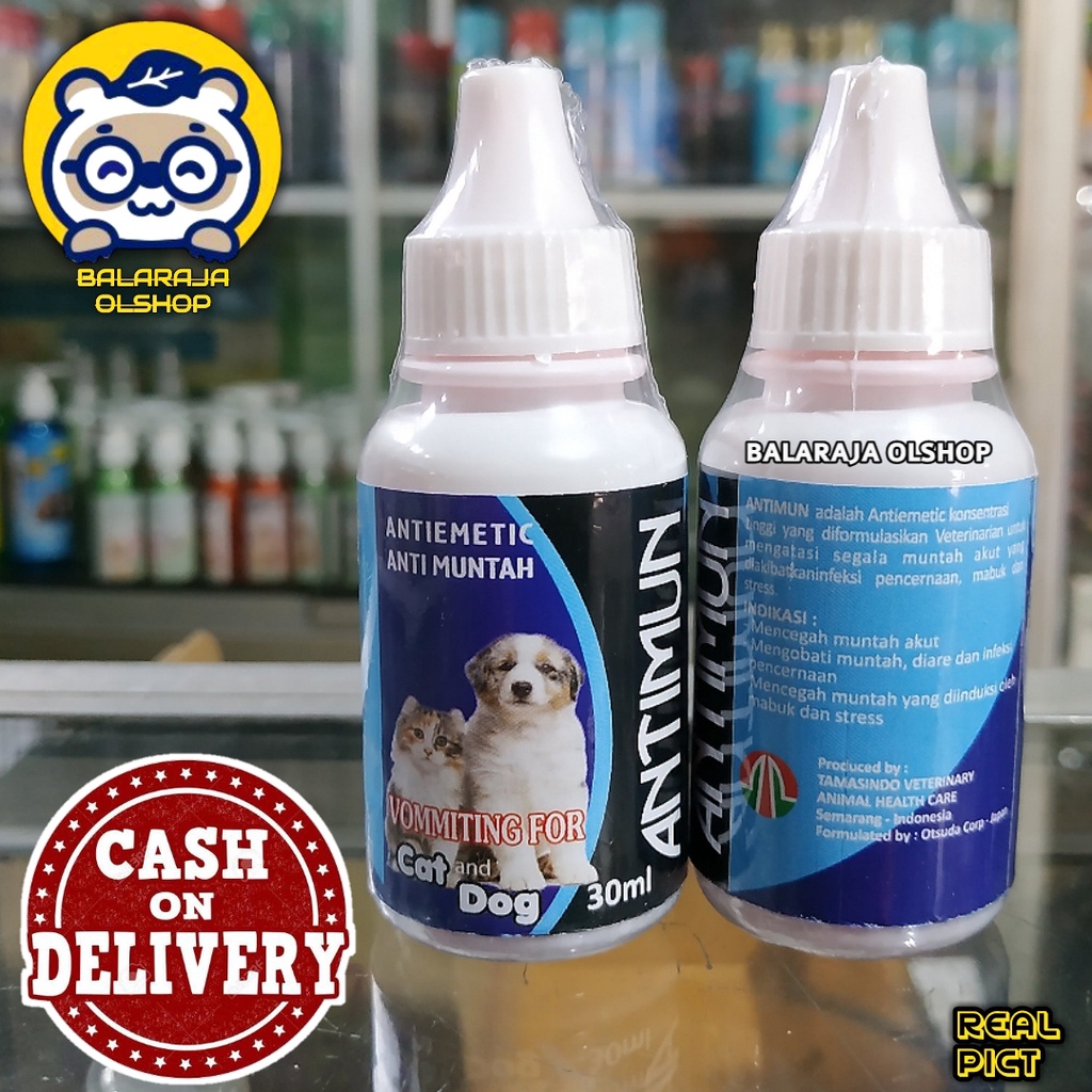 OBAT KUCING MUNTAH DAN MUAL-MUAL - ANTIMUN CAT DOG