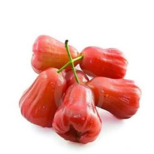 

Jambu merah citra manis segar 500 gram
