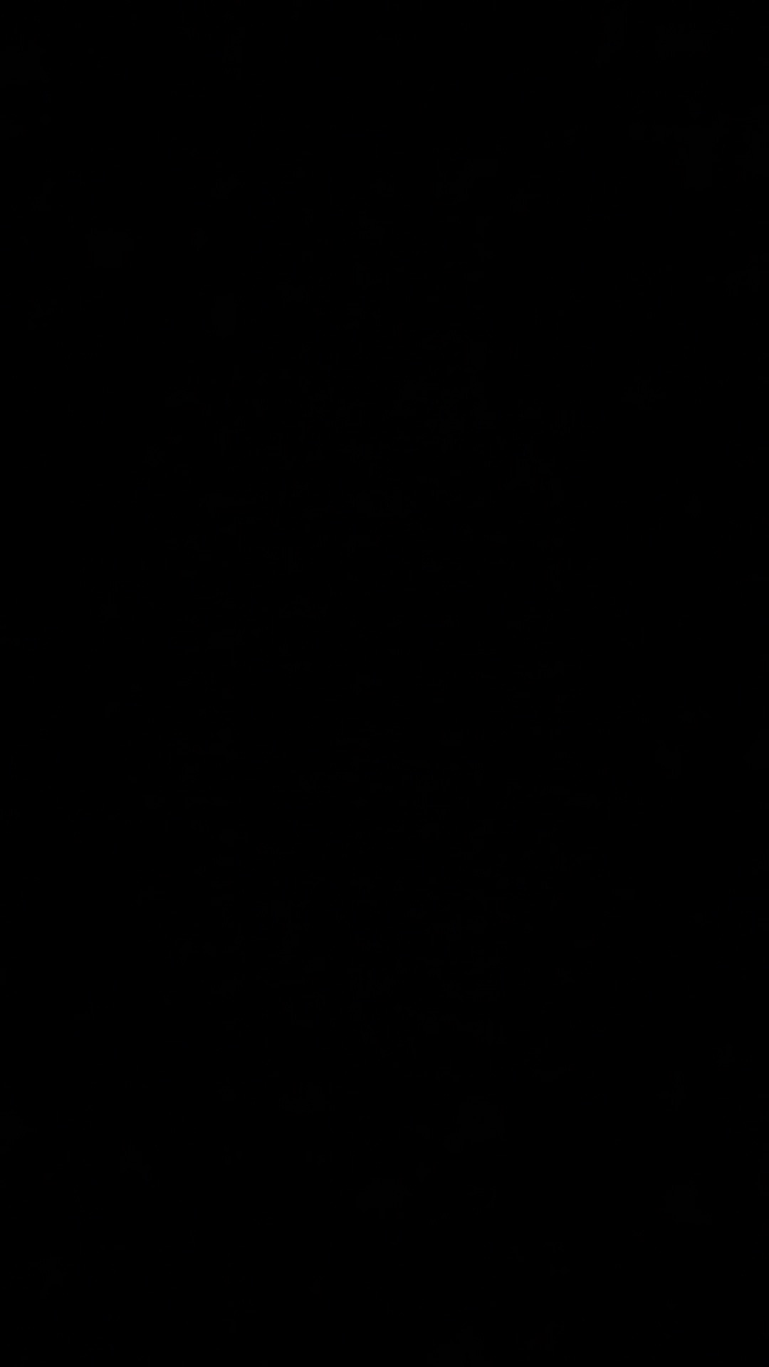 Maxim Venice Deluxe Version Set Wajan