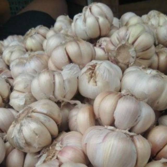 

Bawang putih 1 kg / 1000gram