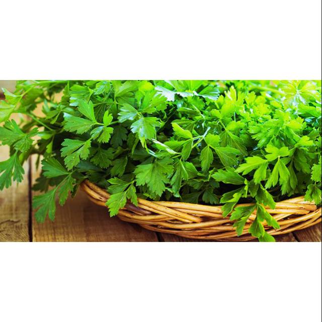 

daun ketumbar/wansui500gram