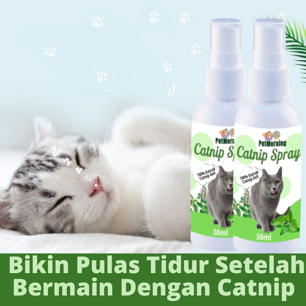 Catnip Spray Kucing Anti Stress Herbal Super Aman FEZONE