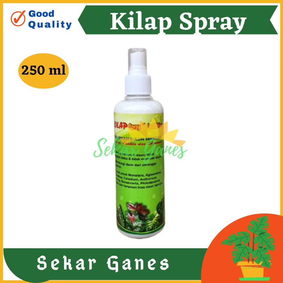 Kilap Spray leafshine 250 ml Pengkilap Daun Seketika Lebih Efisien Semir Pengkilap Daun - Kilap Daun SPRAY 250 ML Pengkilap Daun Seketika Lebih Efisien kilap daun spray 250 ml