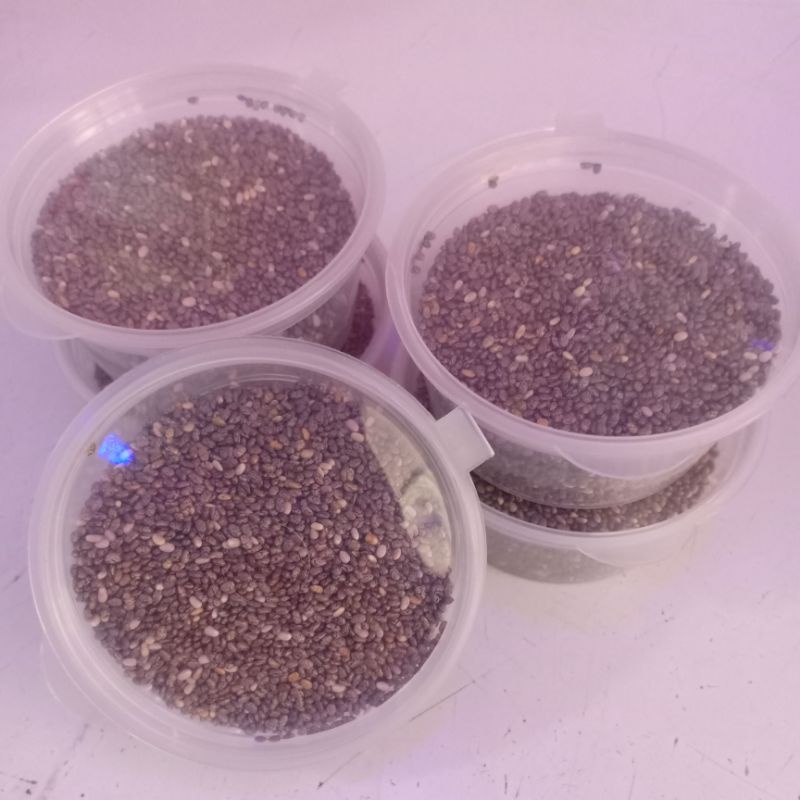 

Organic Black Chia Seed 25gr/ Chiaseed Hitam Organik Seed