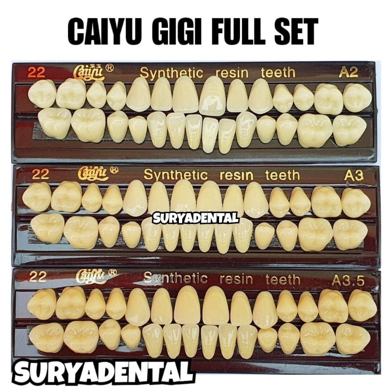 CAIYU Gigi Full Set / Gigi Palsu