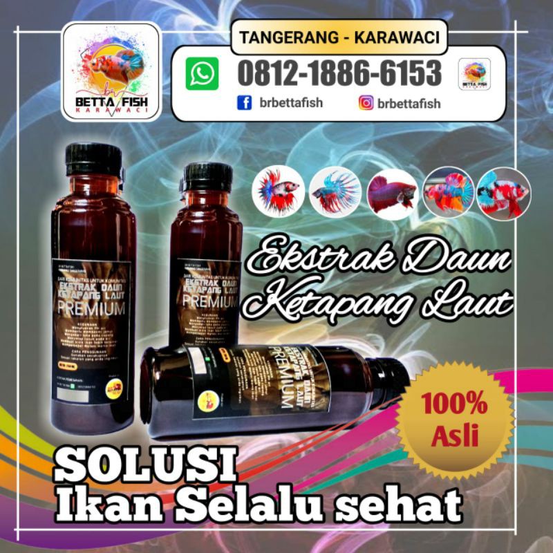 

EKSTRAK DAUN KETAPANG LAUT 250ML