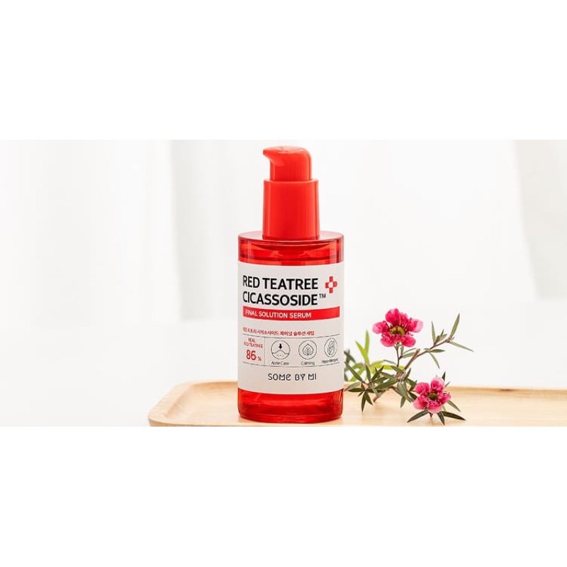 RED TEATREE CICASSOSIDE