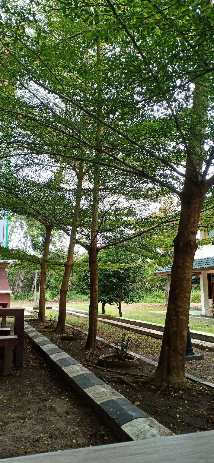 Topper Cake/cupcake, Hiasan Kue Ulang Tahun, Motif <br />flamingo Angka