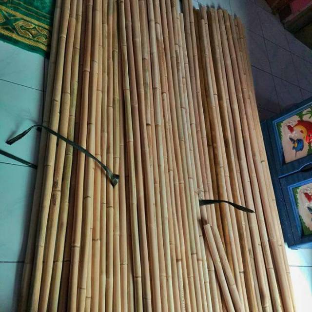 Toya rotan Pencak Silat