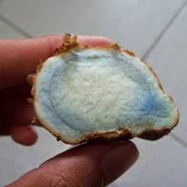 

Temu ireng/temu hitam 1 kg