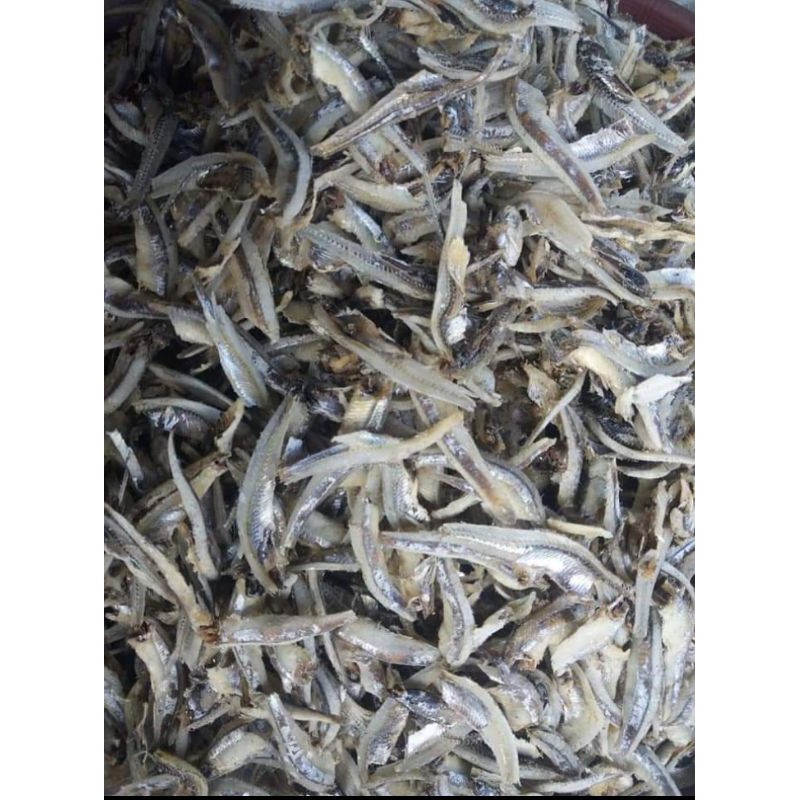 

terikacang