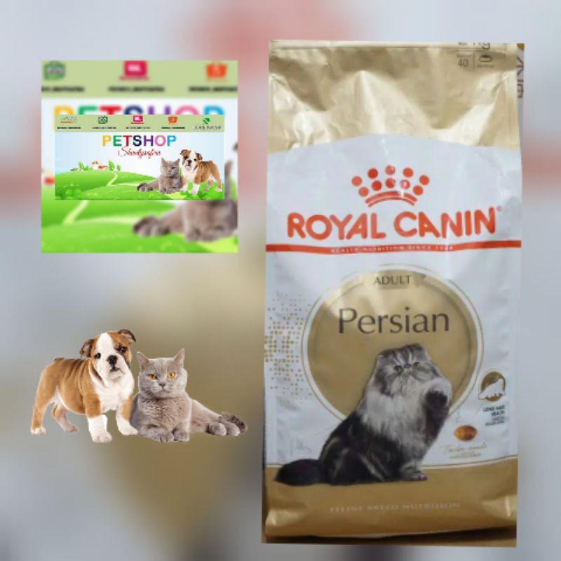 MAKANAN KUCING ROYAL CANIN ADULT PERSIAN 500GR repack