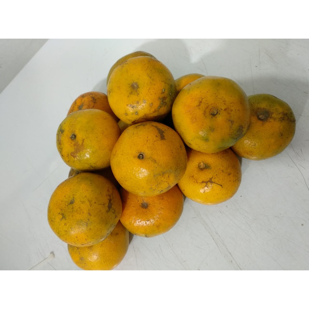 

Jeruk Medan - 1 Kg isi 9-11 Buah