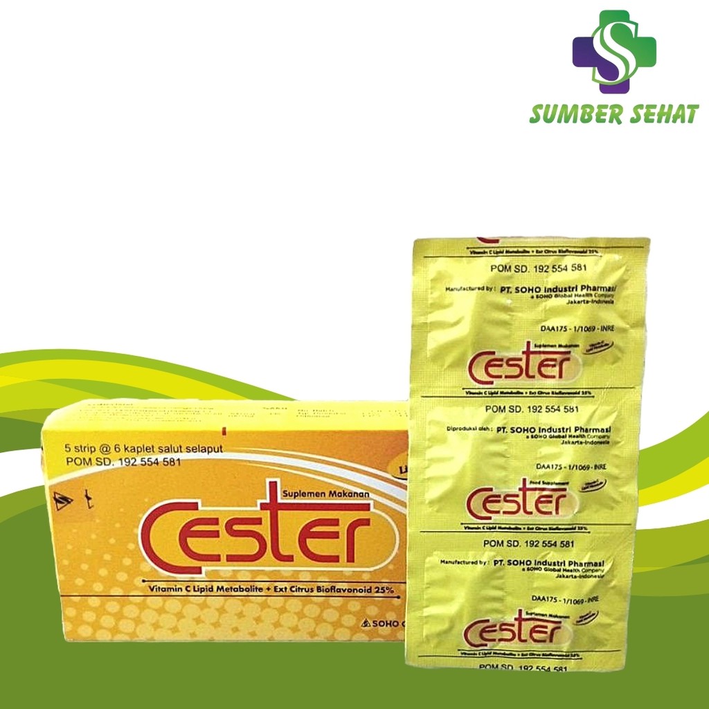 CESTER STRIP 6 KAPLET