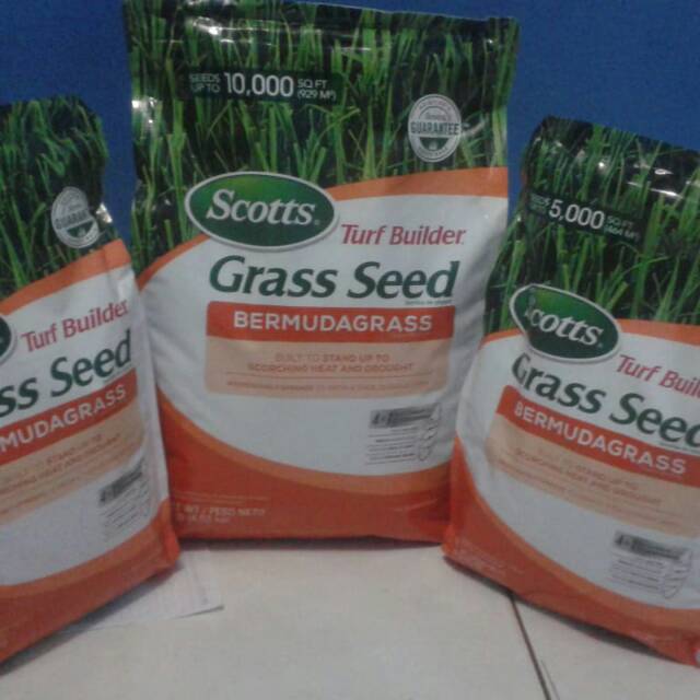 Benih biji rumput grass seed bermuda-biji rumput lapangan sepak bola grass seed