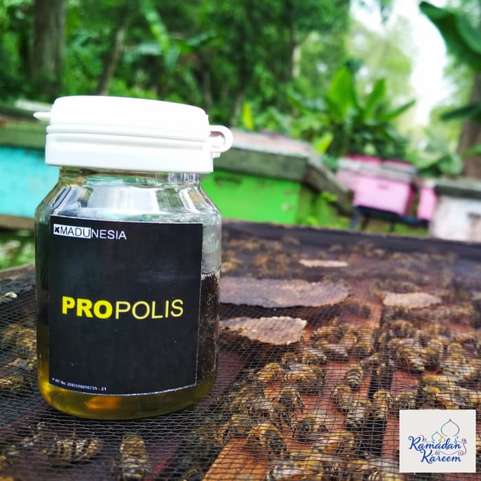 

propolis jelly/resin lebah-tawon asli murni tanpa campuran raw honey - MMD1869