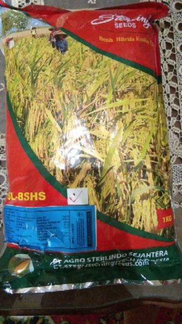 Benih padi Hibrida SL 8