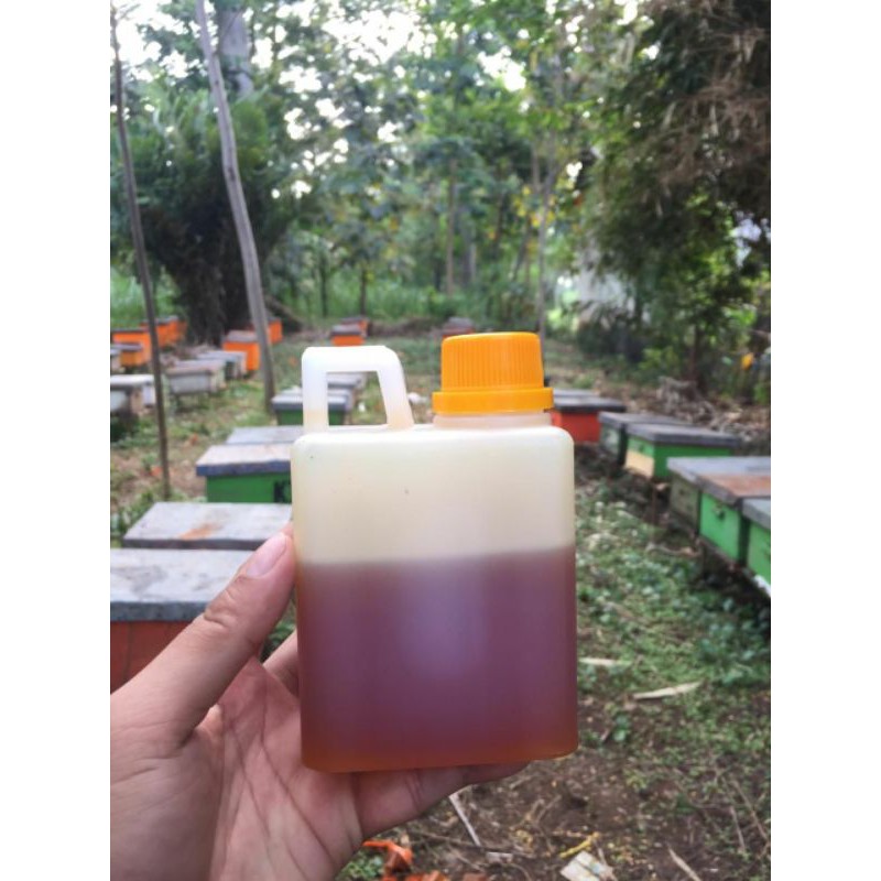 

madu asli melifera 500gram