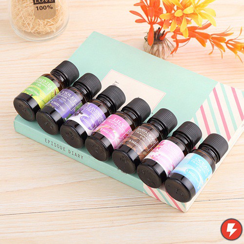 Flashmart Essential Oils Minyak Essensial  Pure Essential Fragrance Oils 10ml