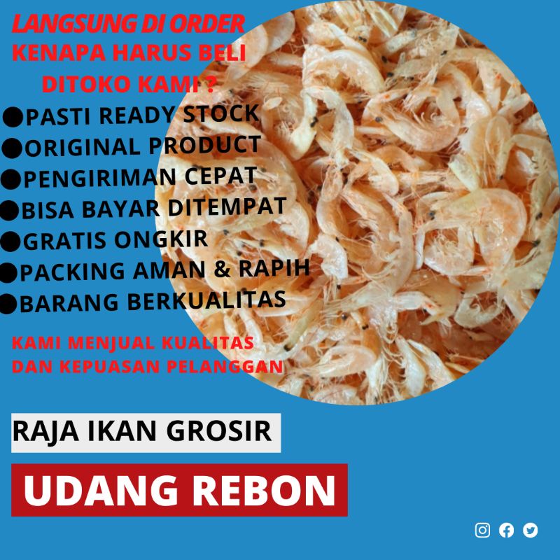 

UDANG REBON BESAR 100 GRAM BAGUS KERING