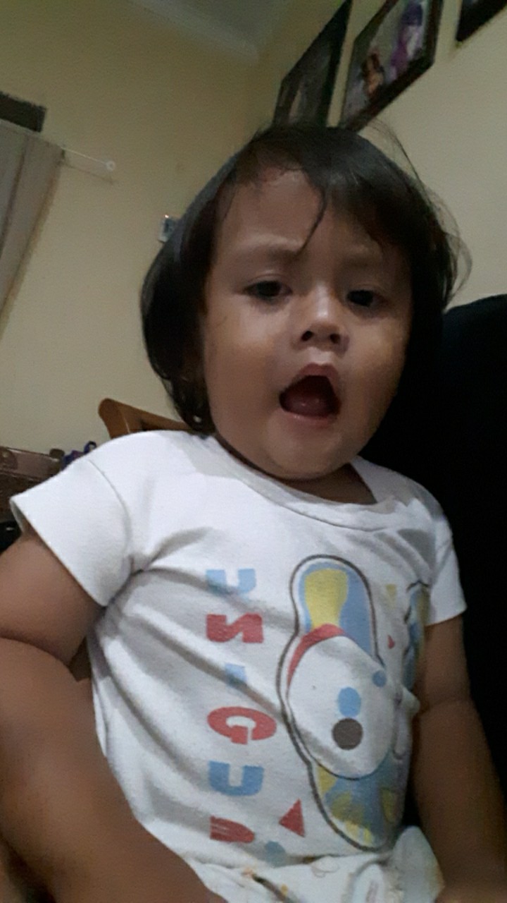 Pisau Apel