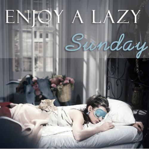 Bantal Tidur - Comfy Premium - LAZY Sunday