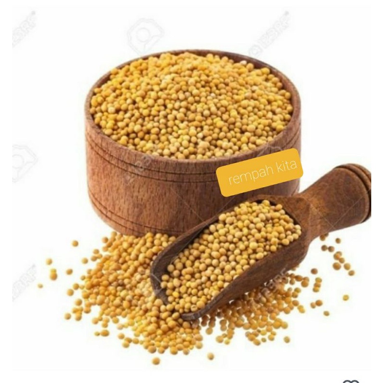 

Yellow Mustard Seed/Biji Sesawi Kuning