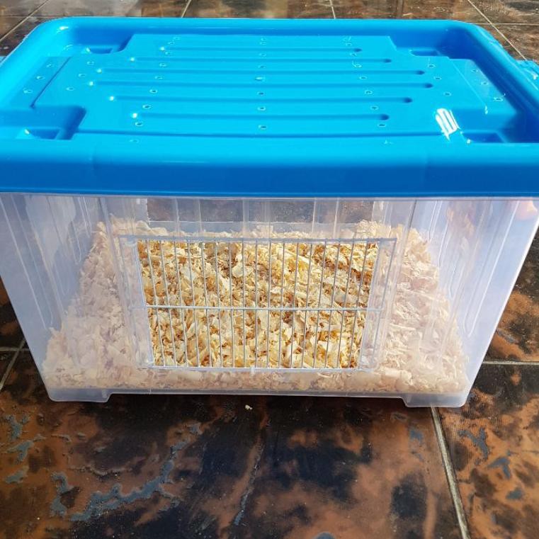 kontainer box modif akrilik kandang hamster landak mini reptil (ART. J9986)