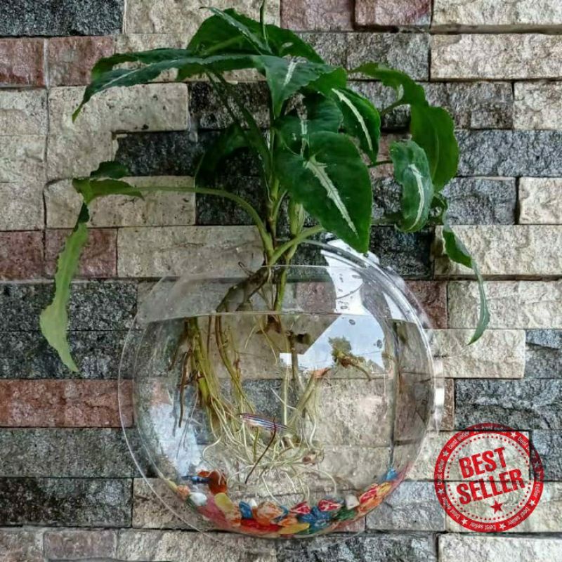Aquarium Dinding 20cm Bulat Besar / Vas Bunga Tanaman Hias
