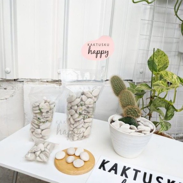 BATU HIAS PUTIH 1 KG - BATU KORAL TANAMAN - BATUAN KORAL PUTIH