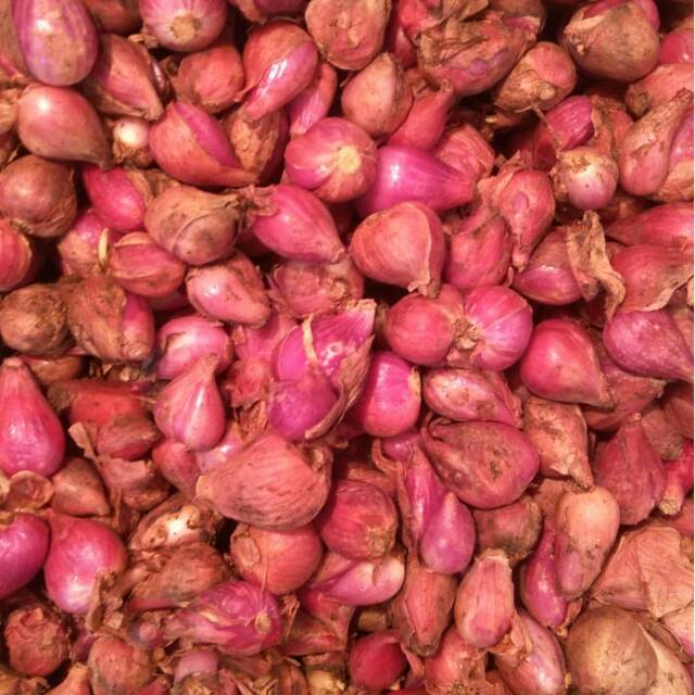 

BAWANG MERAH SUPER /500 gr/31.000