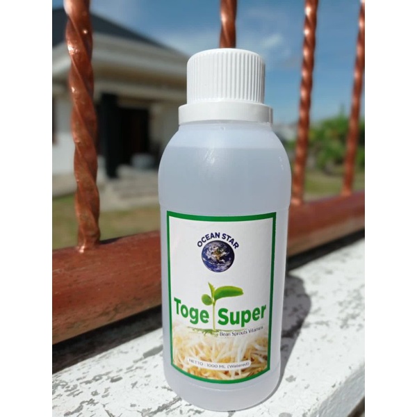

vitamin tauge, obat tauge, penggemuk cambah