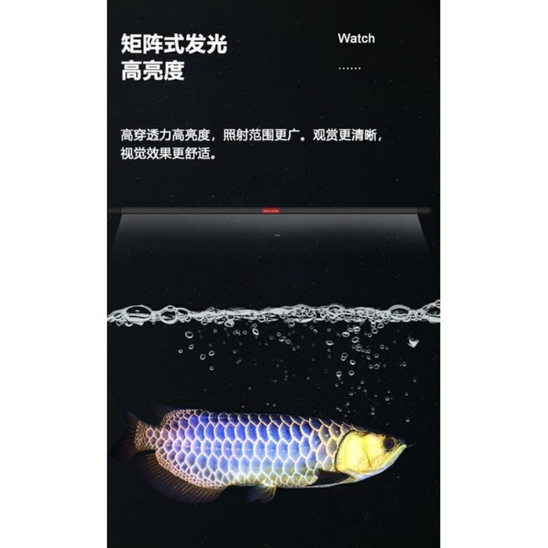 Jual LAMPU LED VIEW MAYIN INTERNATIONAL FOR GOLDEN AROWANA DAN IKAN