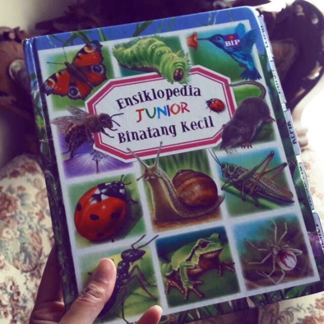 Ensiklopedia Junior - Binatang Kecil