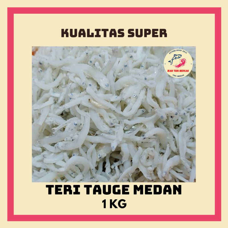 Teri Tauge 1 kg Kualitas Super / Teri Tauge Medan / Teri Tauge Bestseller